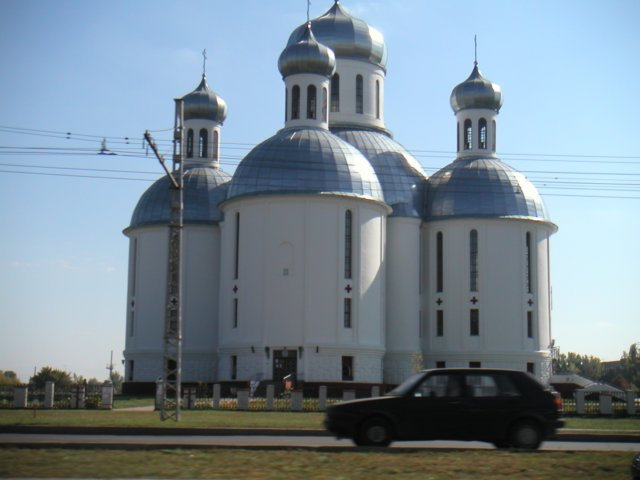 Photograph